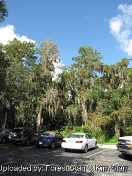 20255 star Forest Starr & Kim Starr