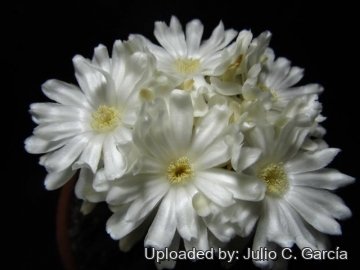 22005 julio Julio C. García