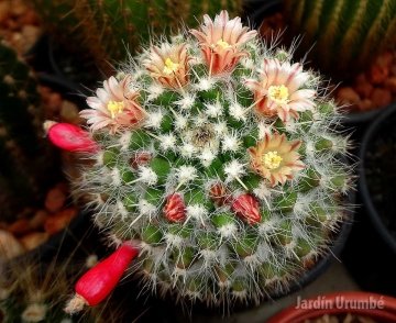 28181 alexander Alexander Arzberger