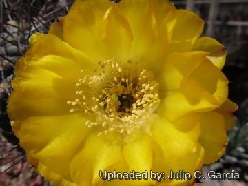 20112 julio Julio C. García 