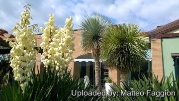 27155 matteo Matteo Faggion