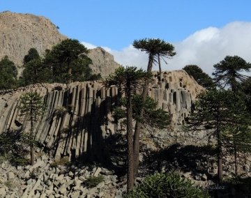 23605 carolina Carolina González