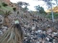 East Kimberley Region in the north East of Western Australia after seasonal bush fires have devastated the area. East Kimberley Region in the north East of Western Australia after seasonal bush fires have devastated the area.